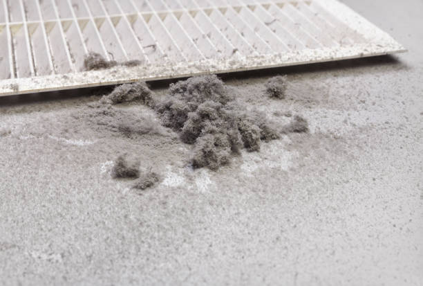 Best Air Duct Cleaning Near Me  in Bridgeville, DE