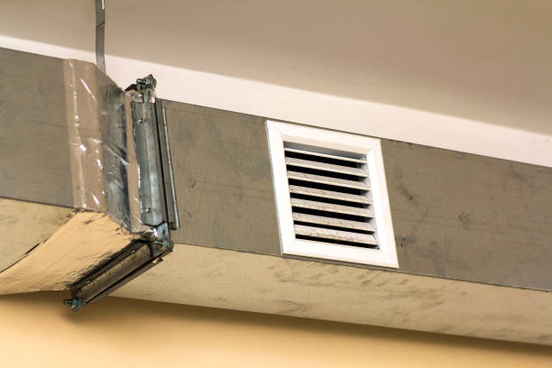 Best Professional Duct Cleaning Services  in Bridgeville, DE