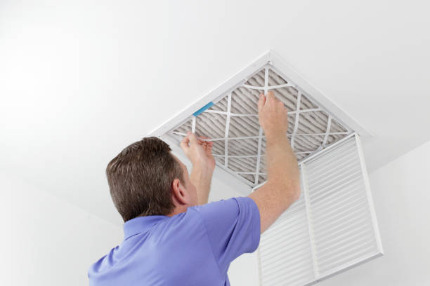 Best Local Air Duct Cleaning Services  in Bridgeville, DE